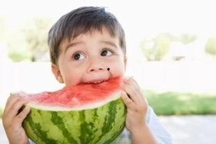 幼儿吃瓜孑,瓜果乐园里的甜蜜时光